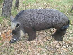 Convocatoria de la Segunda Tirada del Campeonato Navarro de 3D 2015